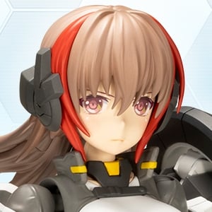 FRAME ARMS GIRL WILBER NINE