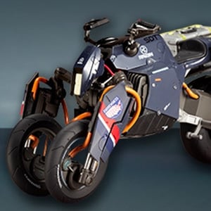 REVERSE TRIKE